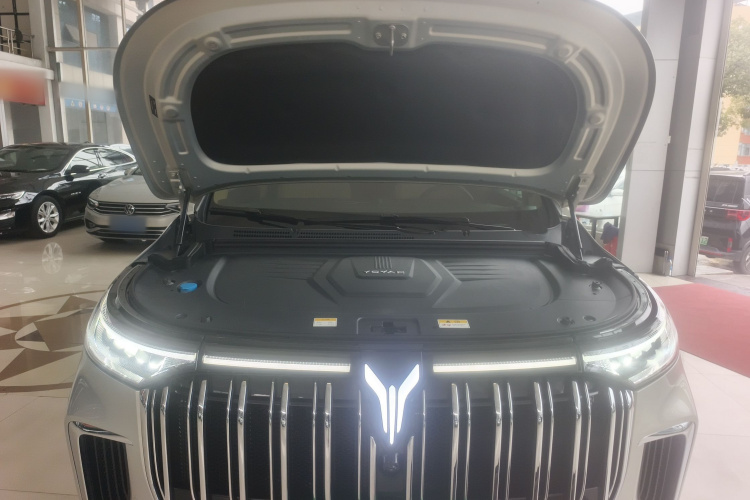 岚图汽车 岚图梦想家 2022款 低碳版 梦+智享包机舱底盘24