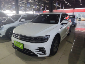 大众 途观L新能源 2020款 430PHEV 插电混动旗舰版