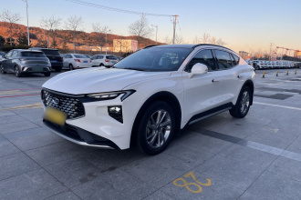 福特 EVOS 2022款 EcoBoost 245 风尚版