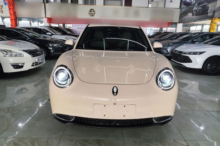 欧拉好猫 2024款 401km 豪华型车身外观2