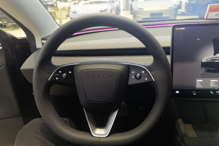 特斯拉 Model 3 2023款 长续航全轮驱动版中控内饰13