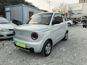 吉利银河 2023款 熊猫mini 200km 耐力熊