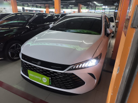 比亚迪 秦PLUS 2025款 DM-i 智驾版 55KM领先型