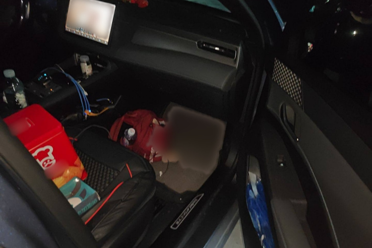 比亚迪 秦PLUS 2025款 EV 智驾版 510KM领先型局部细节9005