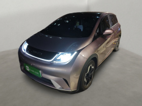 比亚迪 海豚 2021款 405km 时尚版