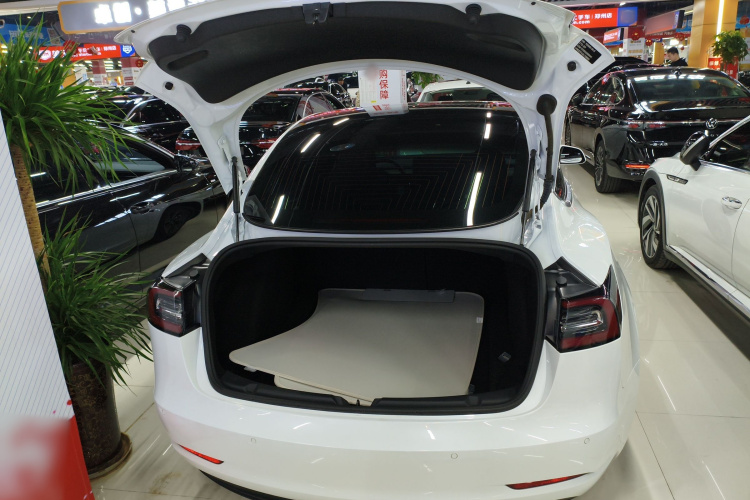特斯拉 Model 3 2020款 改款 标准续航后驱升级版局部细节23
