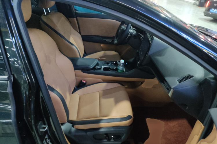 雷克萨斯RZ 2023款 450e 四驱纵享版局部细节41