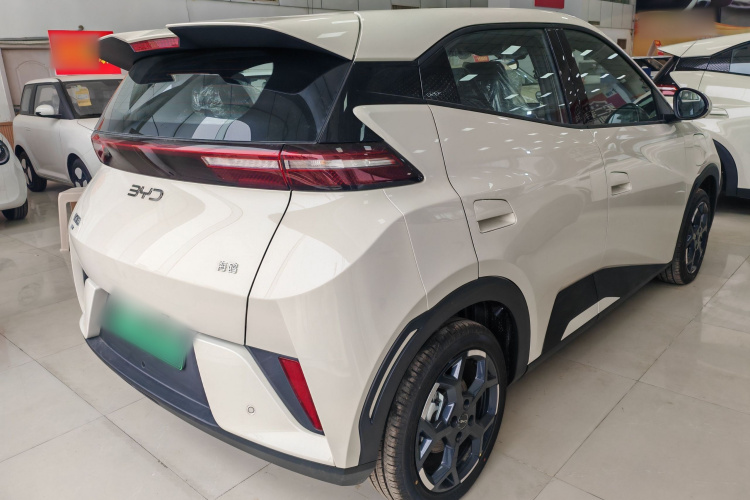 比亚迪 海鸥 2025款 智驾版 305km 活力版车身外观6004