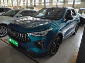 哈弗赤兔 2021款 激擎版 1.5T 铂金兔