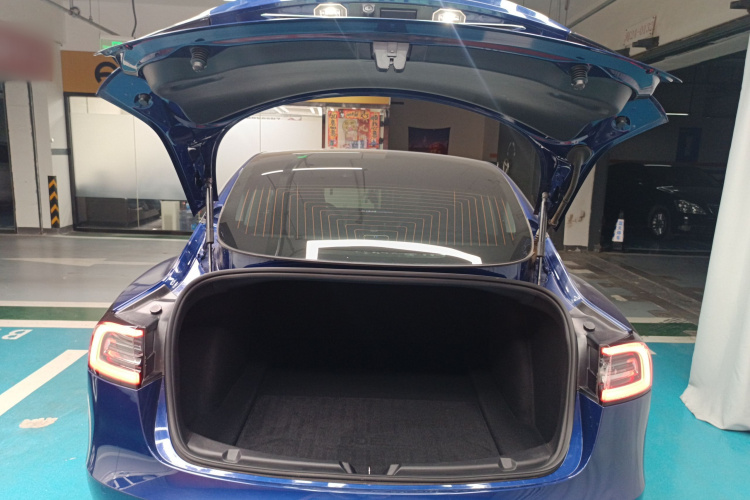 特斯拉 Model 3 2020款 标准续航后驱升级版机舱底盘23