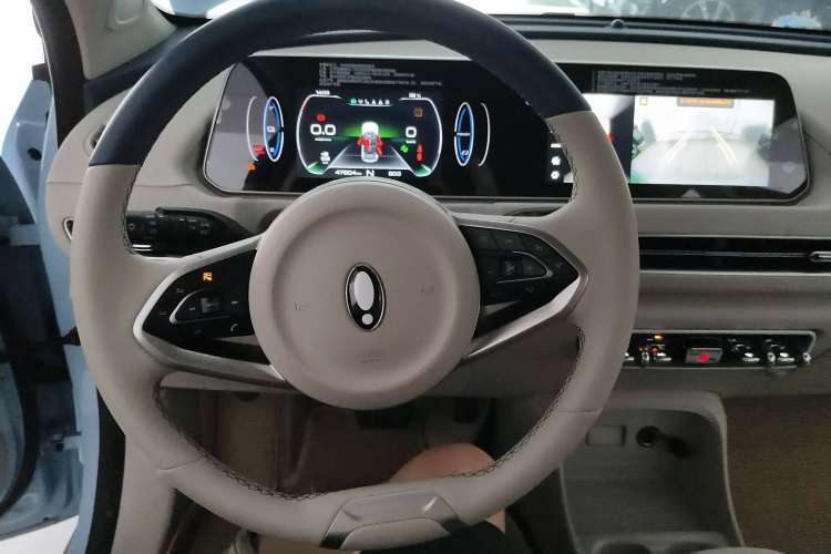 欧拉好猫 2022款 莫兰迪版 400km标准续航 豪华型 磷酸铁锂局部细节13