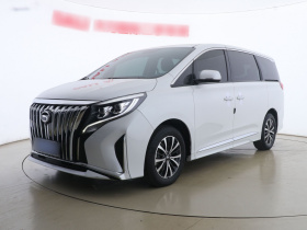 广汽传祺 传祺M8 2021款 改款 领秀系列 390T 豪华版