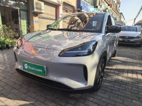 五菱汽车 五菱缤果PLUS 2024款 330km 五座版