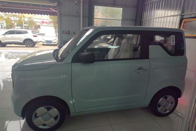 吉利银河 2024款 熊猫mini 200km 耐力熊车身外观4