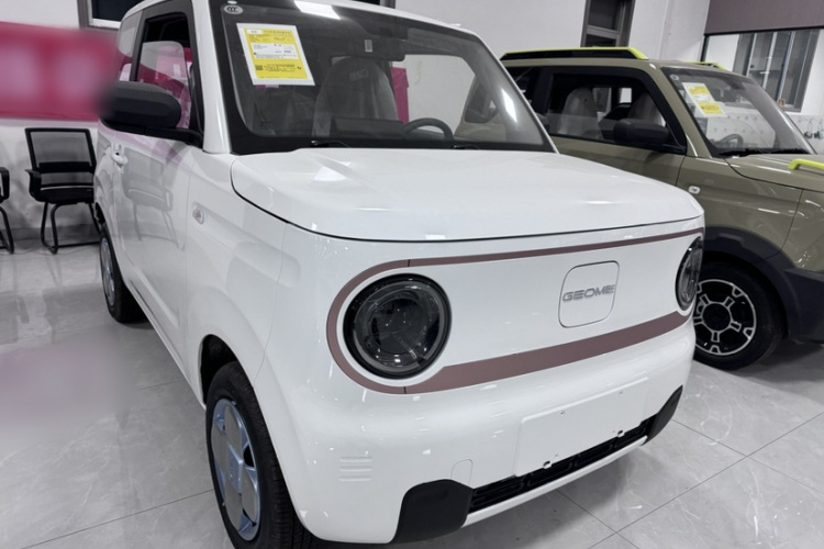 吉利银河 2024款 熊猫mini 200km 耐力熊车身外观6002