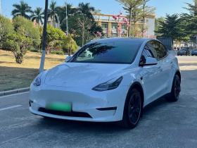 特斯拉 Model Y 2021款 长续航全轮驱动版