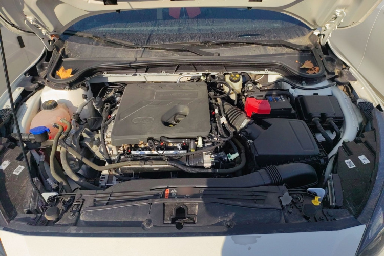 福特 福克斯 2021款 两厢 EcoBoost 180 自动ST Line机舱底盘24
