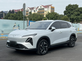 五菱汽车 五菱星光S 2024款 130km 领航型