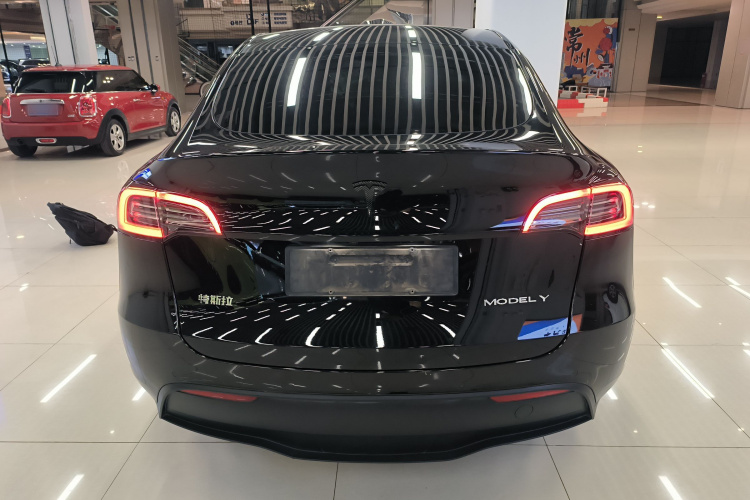 特斯拉 Model Y 2021款 标准续航后驱版车身外观6004