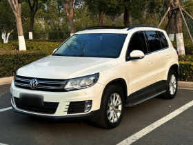 大众 途观 2017款 300TSI 自动两驱丝绸之路舒适版