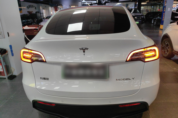 特斯拉 Model Y 2021款 长续航全轮驱动版车身外观6