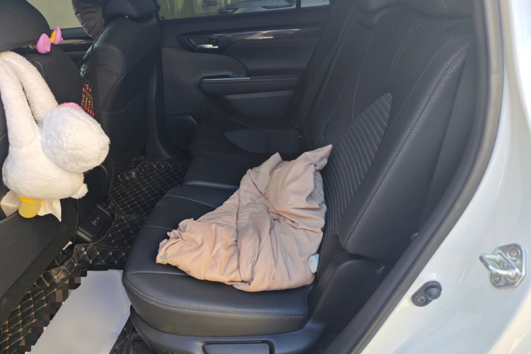 丰田 皇冠陆放 2021款 2.5L HEV四驱尊贵版中控内饰21