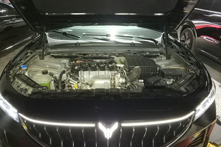 岚图汽车 岚图FREE 2021款 四驱标准增程专属豪华套装机舱底盘24