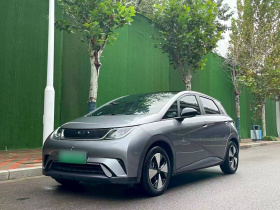 比亚迪 海豚 2023款 420km 时尚版