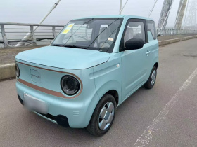 吉利银河 2024款 熊猫mini 200km 耐力熊