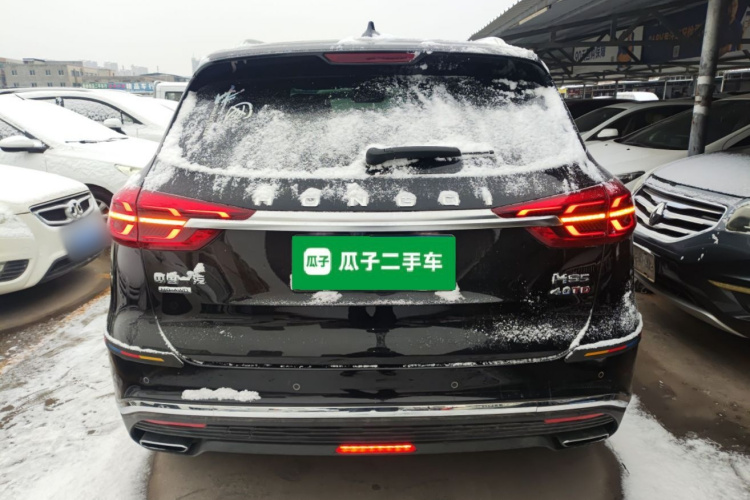 红旗HS5 2022款 2.0T 智联旗享四驱版车身外观6