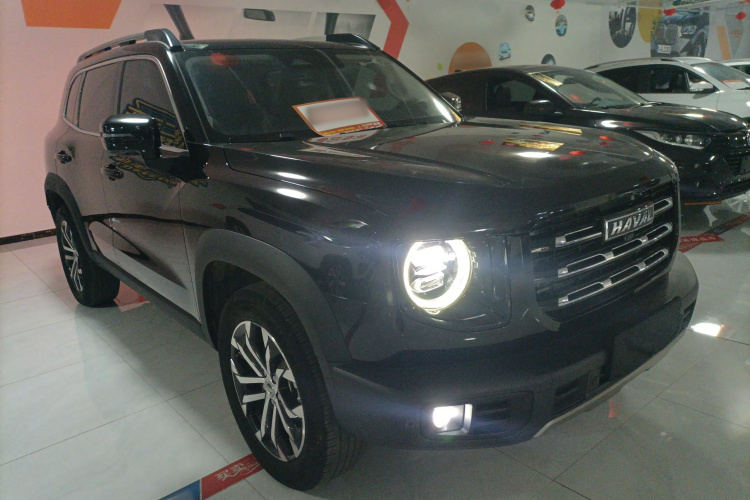 哈弗大狗 2021款 1.5T DCT两驱边牧-旺财版车身外观3