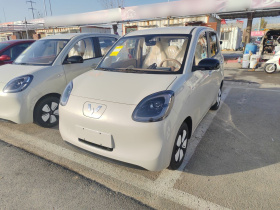 五菱汽车 宏光MINIEV 2025款 四门版 进阶款