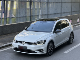 大众 高尔夫 2018款  230TSI 自动豪华型