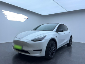 特斯拉 Model Y 2021款 Performance高性能全轮驱动版