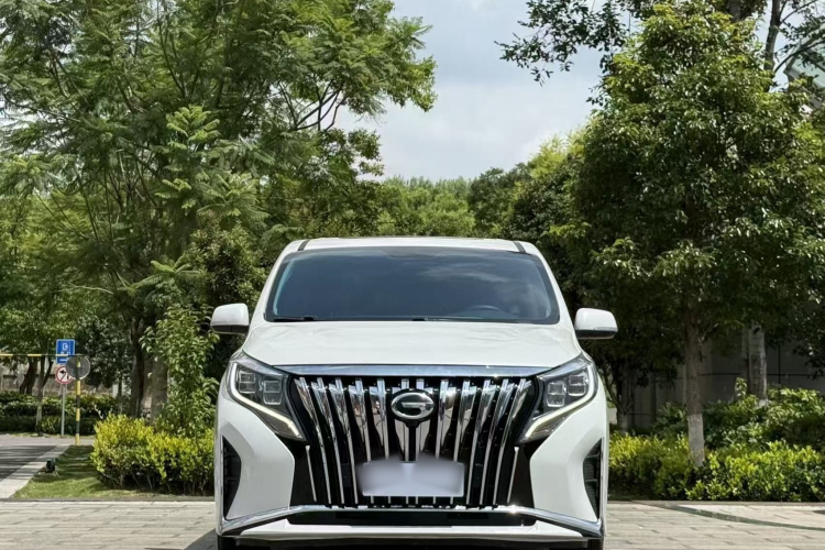 广汽传祺 传祺M8 2021款 领秀系列 390T 尊贵版车身外观6001