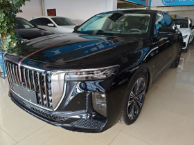 红旗H9 2024款 2.0T 旗畅 私享风尚版