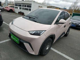 比亚迪 海鸥 2024款 荣耀版 305km 活力版