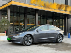 特斯拉 Model 3(进口) 2019款 长续航后驱版