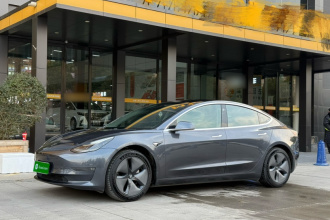特斯拉 Model 3(进口) 2019款 长续航后驱版