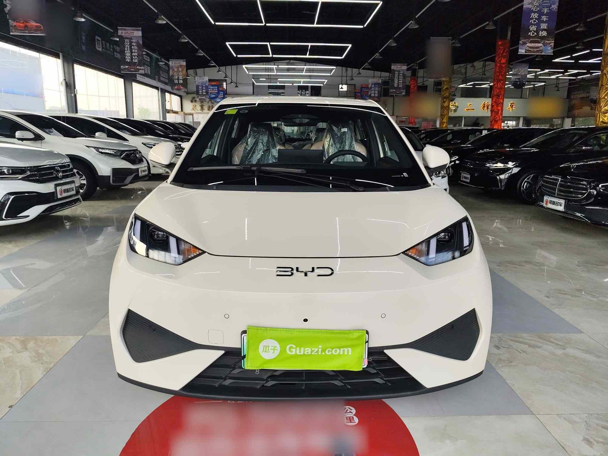 比亚迪 海鸥 2025款 智驾版 305km 自由版(1)