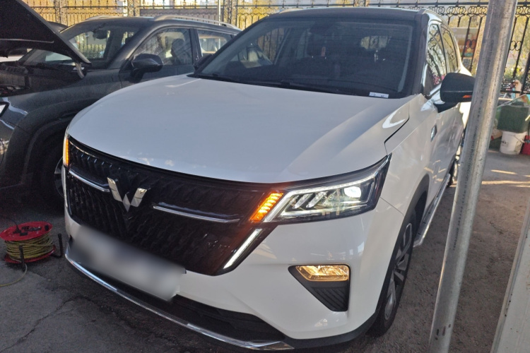 五菱汽车 五菱星辰 2022款 2.0L DHT电速款车身外观1