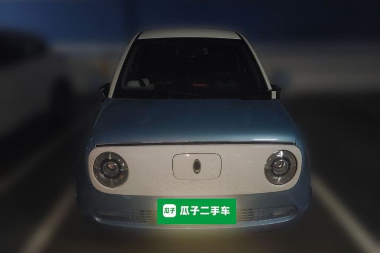 欧拉黑猫 2021款 351km 标准型车身外观6001
