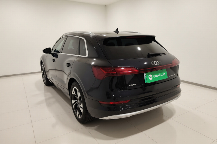 奥迪e-tron(进口) 2019款 55 quattro 技术型车身外观5