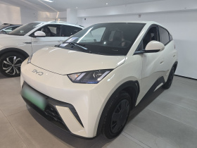 比亚迪 海鸥 2025款 305km 活力版