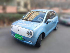 欧拉黑猫 2022款 301km 基础型 三元锂