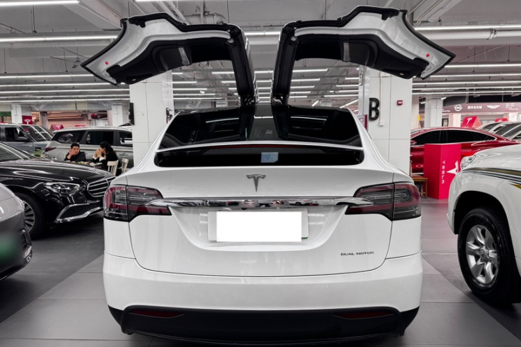 特斯拉 Model X 2019款 长续航版车身外观6001