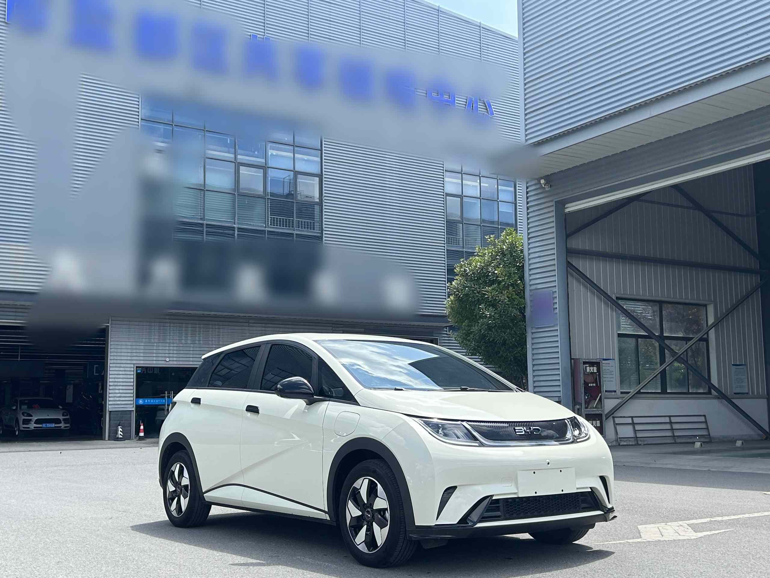 比亚迪 海豚 2025款 420km 自由版(5)