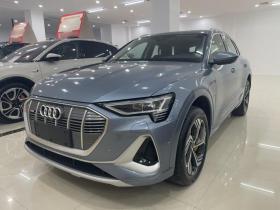 奥迪e-tron 2021款 50 quattro 臻选型