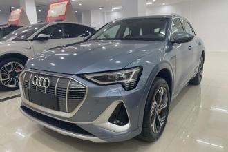 奥迪e-tron 2021款 50 quattro 臻选型