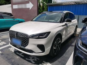 林肯 冒险家 2024款 2.0T 四驱尊耀版